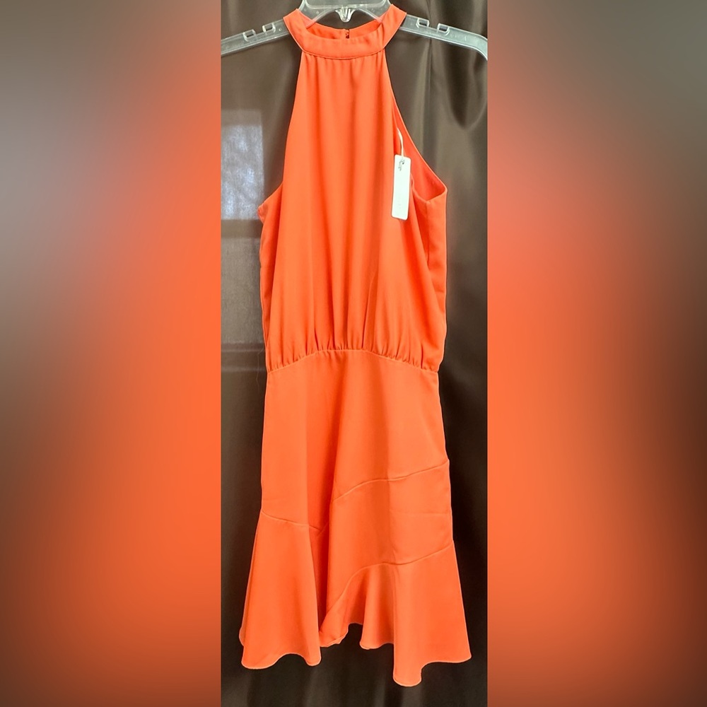 Olivaceous 
NWT 
Size small
Smoke free home